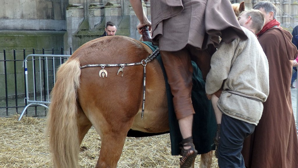 Gladiatoren 2016 (106)